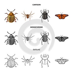Vector design of insect and fly logo. Collection of insect and element stock vector illustration.