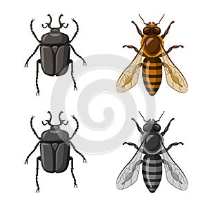 Vector design of insect and fly logo. Collection of insect and element stock vector illustration.