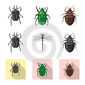 Vector design of insect and fly logo. Set of insect and element stock vector illustration.