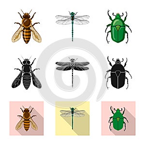 Vector design of insect and fly logo. Set of insect and element stock vector illustration.