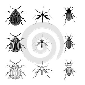 Vector design of insect and fly logo. Set of insect and element stock vector illustration.