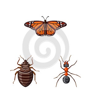 Vector design of insect and fly logo. Set of insect and element vector icon for stock.