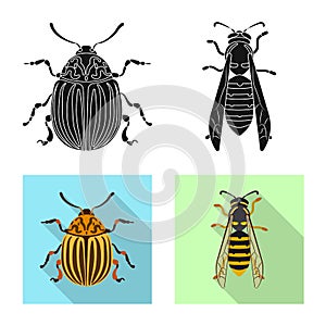 Vector design of insect and fly logo. Set of insect and element vector icon for stock.