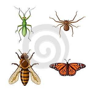 Vector design of insect and fly logo. Set of insect and element vector icon for stock.