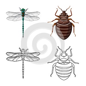 Vector design of insect and fly logo. Set of insect and element vector icon for stock.