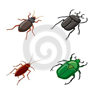 Vector design of insect and fly logo. Set of insect and entomology vector icon for stock.