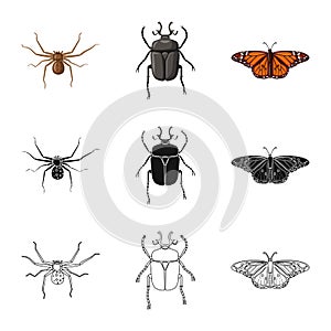 Vector design of insect and fly sign. Collection of insect and element stock vector illustration.