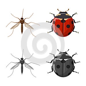 Vector design of insect and fly sign. Collection of insect and element stock vector illustration.