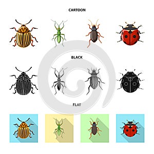 Vector design of insect and fly sign. Collection of insect and element stock vector illustration.
