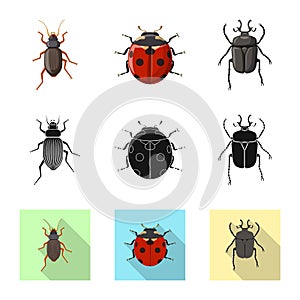 Vector design of insect and fly sign. Set of insect and element stock vector illustration.