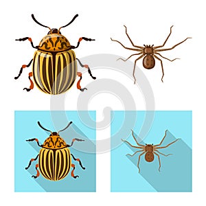 Vector design of insect and fly sign. Set of insect and element stock vector illustration.