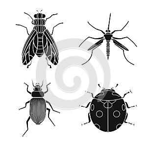 Vector design of insect and fly sign. Set of insect and element stock vector illustration.