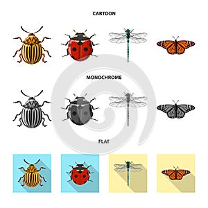 Vector design of insect and fly sign. Set of insect and element stock vector illustration.