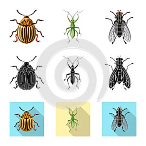 Vector design of insect and fly symbol. Collection of insect and element vector icon for stock.