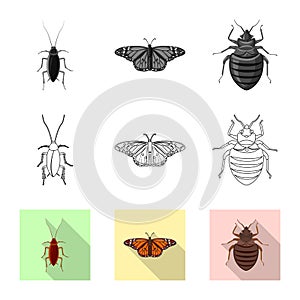 Vector design of insect and fly symbol. Collection of insect and element vector icon for stock.