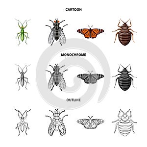 Vector design of insect and fly symbol. Collection of insect and element vector icon for stock.