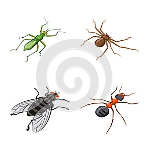 Vector design of insect and fly symbol. Collection of insect and entomology stock symbol for web.