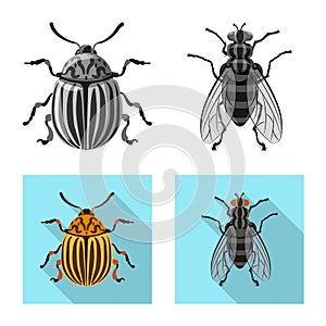 Vector design of insect and fly symbol. Set of insect and element vector icon for stock.