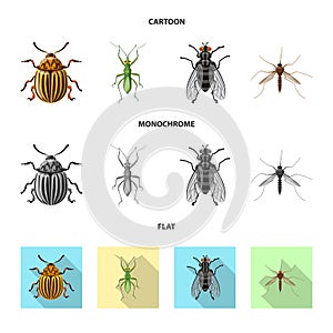 Vector design of insect and fly symbol. Set of insect and element vector icon for stock.