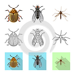 Vector design of insect and fly symbol. Set of insect and element vector icon for stock.