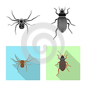 Vector design of insect and fly symbol. Set of insect and element vector icon for stock.