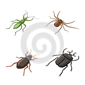 Vector design of insect and fly symbol. Set of insect and entomology vector icon for stock.