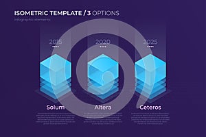 Vector design with isometric elements, template for creating inf