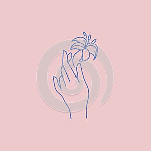 Vector design linear template logo or emblem - hand with tulip flowers. Abstract symbol for cosmetics and packaging or