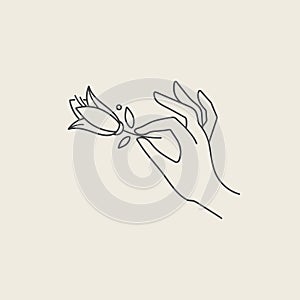 Vector design linear template logo or emblem - hand with tulip flowers. Abstract symbol for cosmetics and packaging or