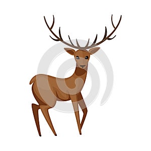 Vector design of moose and animal icon. Set of moose and antler stock symbol for web. photo
