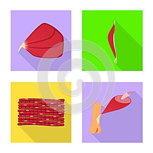 Vector design of muscle and cells icon. Collection of muscle and anatomy stock vector illustration.