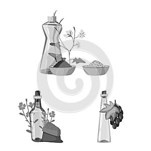 Vector design of nutrition and organics logo. Collection of nutrition and glass stock vector illustration.