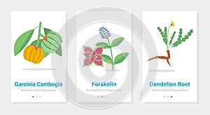 Vector design of onboarding screens with nutrition food supplements. Modern and simplified templates with plants and