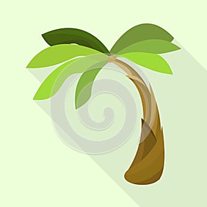 Vector design of palm and exotic logo. Set of palm and trunk vector icon for stock.