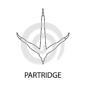 Vector design of partridge and trail logo. Collection of partridge and quail stock vector illustration.