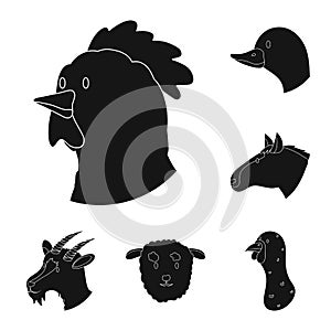 Vector design of ranch and organic symbol. Collection of ranch and head vector icon for stock.