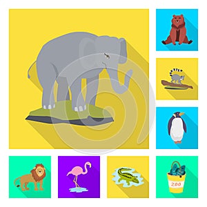 Vector design of safari  and animal icon. Set of safari  and fun  stock vector illustration.