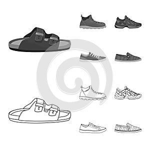 Vector design of shoe and footwear icon. Set of shoe and foot vector icon for stock. photo