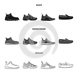 Vector design of shoe and footwear logo. Set of shoe and foot vector icon for stock. photo