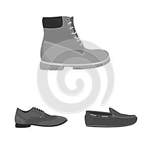 Isolated object of shoe and footwear symbol. Collection of shoe and foot vector icon for stock. photo
