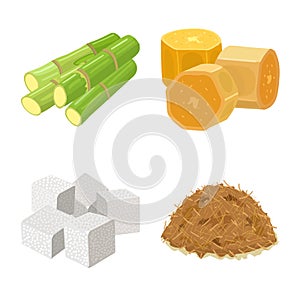 Vector design of sugarcane and plant icon. Set of sugarcane and agriculture vector icon for stock.