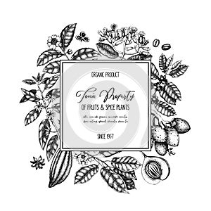Vector design template with tonic and spicy plants. Hand drawn spices illustrations. Vintage frame with aromatic elements. Sketche