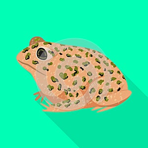 Isolated object of toad and tropical logo. Collection of toad and points vector icon for stock.
