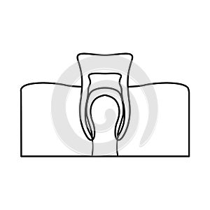 Vector design of tooth and gingiva icon. Graphic of tooth and clean vector icon for stock.