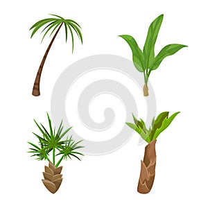 Vector design of tree and beach logo. Collection of tree and summer stock vector illustration.