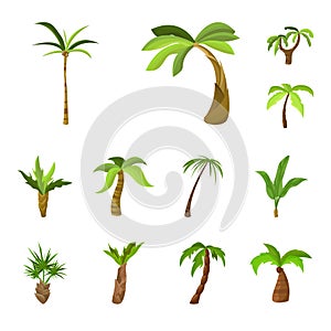 Vector design of tree and beach logo. Collection of tree and summer vector icon for stock.