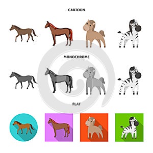 Vector design of trot and running icon. Collection of trot and clipart stock symbol for web.