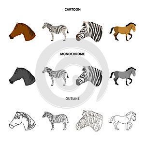 Vector design of trot and running icon. Collection of trot and clipart stock symbol for web.