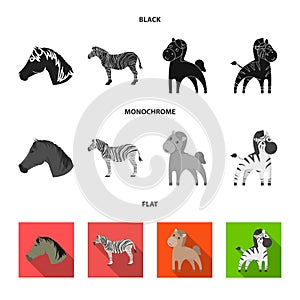 Vector design of trot and running icon. Collection of trot and clipart stock vector illustration.