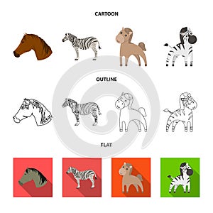 Vector design of trot and running icon. Set of trot and clipart vector icon for stock.